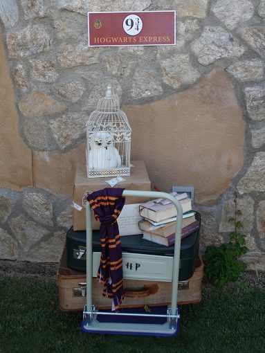 anden 9 3/4 zazubodaAYD harryPotter